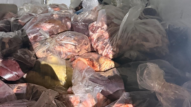 Sakarya'da sağlıksız koşullarda taşınan 3 ton 150 kilogram sakatat ele geçirildi