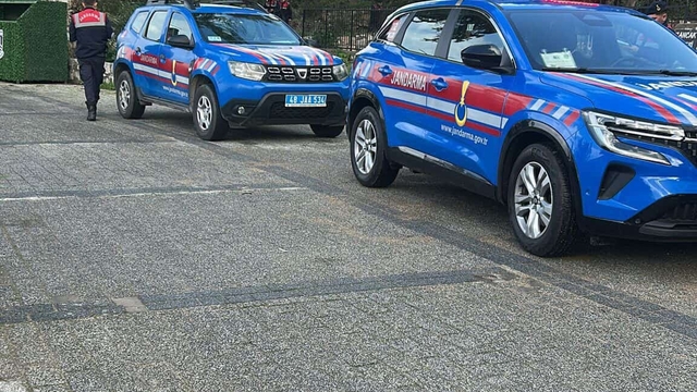 Bodrum'da iki köpeğin silahla vurulduğu iddiası