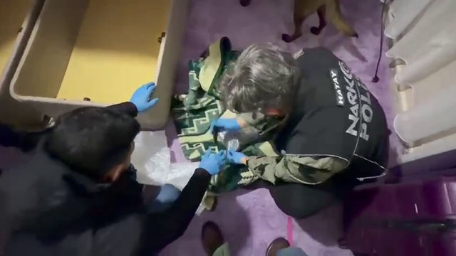 Battaniyeye zulalanan uyuşturucuyu narkotik köpeği buldu