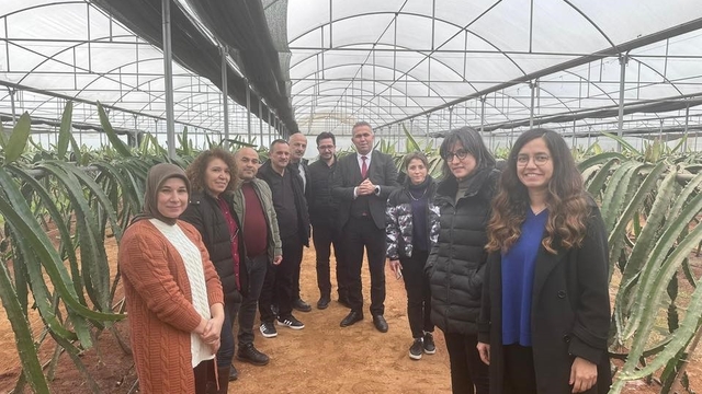"Efeler'de Pitaya Güçleniyor" projesi incelendi