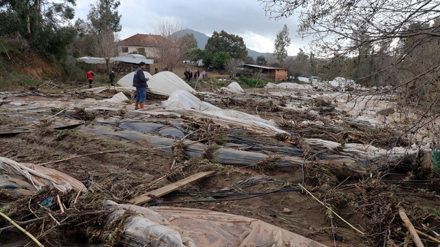 Tüm birikimlerini 1 saatte kaybettiler