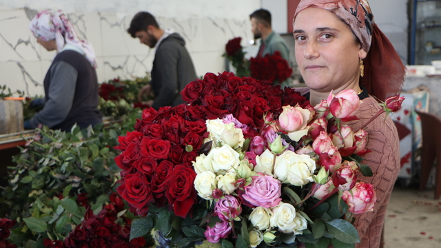 Eşi ile sevgililere rengarenk güller yetiştirdi