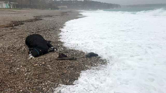 Antalya'yı sağanak vurdu; 7 ilçede okullar tatil edildi (2)