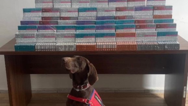 Bolu'da binlerce elektronik sigara kiti ele geçirildi