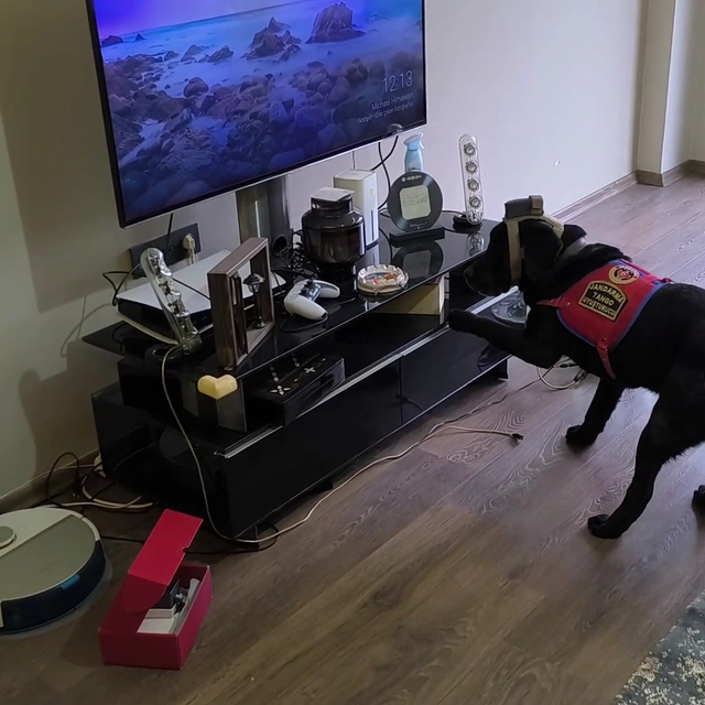 Düzce'de suç örgütüne operasyon: 36 gözaltı