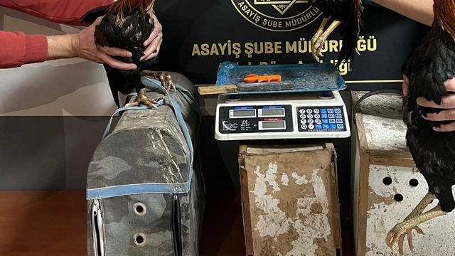 Karabük'te asayiş uygulamalarında aranan 100 kişi yakalandı
Asayiş denetimlerinde 31 kişiye 317 bin 520 TL para cezası kesildi