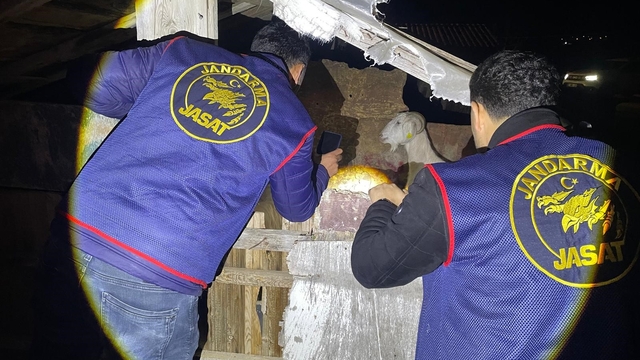 Jandarma kayıp 5 koyun için 3 iş yeri ve 9 meskene ait toplam 24 saatlik güvenlik kamerasını saniye saniye inceledi
Çalınan koyun ve keçiler jandarmanın çalışmasıyla bulundu
Keçilerin sahibi annesini emen oğlak ölünce hırsızlığın farkına vardı