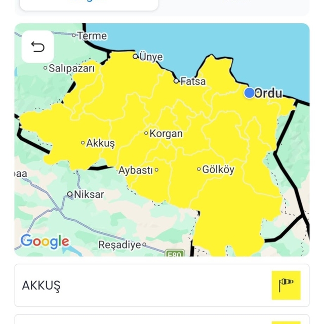 Ordu için sarı kodlu fırtına uyarısı