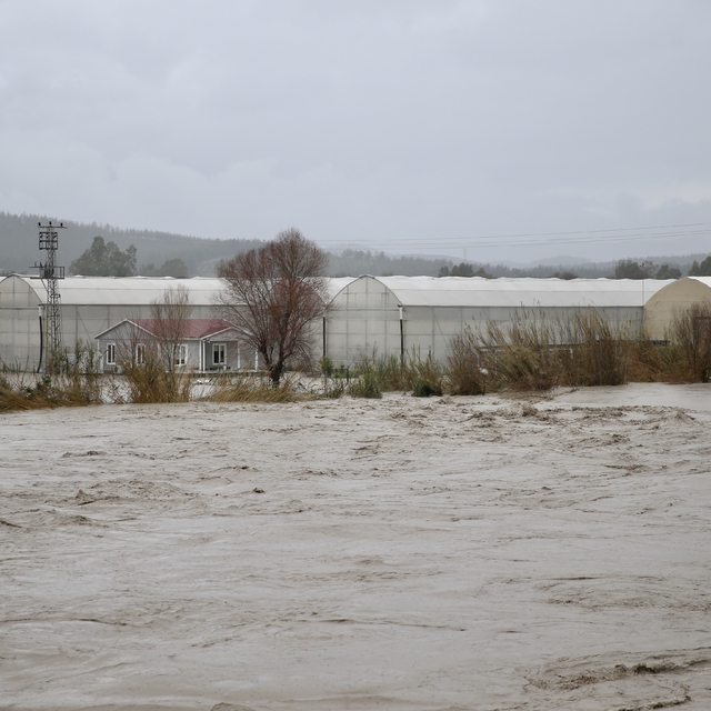 Muğla'da kuvvetli yağış nedeniyle sel ve su taşkınları yaşanıyor