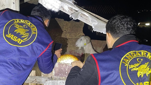 Manavgat'ta küçükbaş hayvan çaldıkları iddiasıyla 4 şüpheli yakalandı