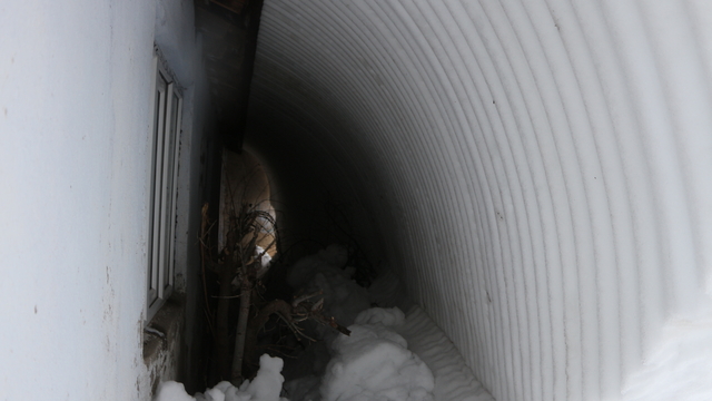 Bingöl'de kar yaşamı olumsuz etkiliyor