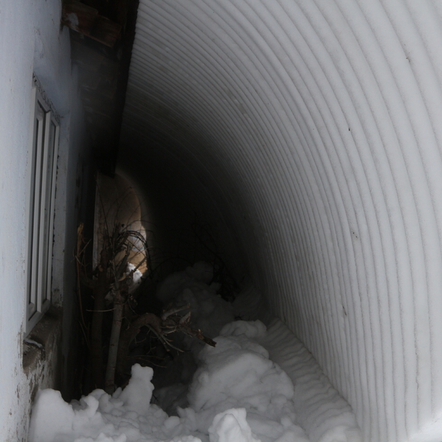 Bingöl'de kar yaşamı olumsuz etkiliyor