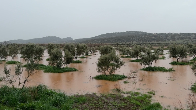Osmaniye'de sağanak nedeniyle bazı evleri ve tarım arazilerini su bastı