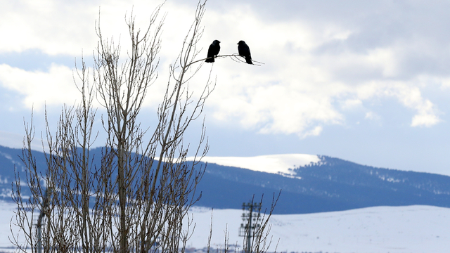 Erzurum, Kars ve Ardahan'da soğuk hava etkili oluyor