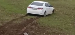Siirt'te yoldan çıkan otomobil tarlaya girdi