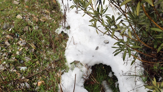 Muğla'da sağanak yağmur ile birlikte dolu yağdı