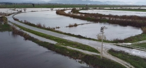 Büyük Menderes nehrindeki taşkın karayolunu kapattı