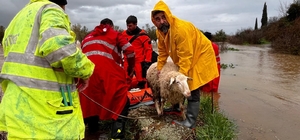 İzmir'de ekiplerin yağış seferberliği sürüyor
Bergama Kaşıkçı Mahallesi'nde...