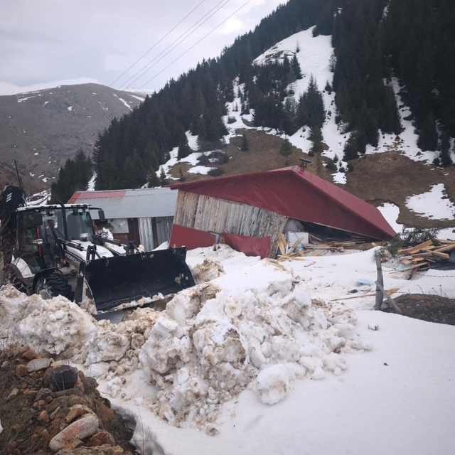 Ordu'da 2 bin 100 rakımlı obada evin üzerine çığ düştü
