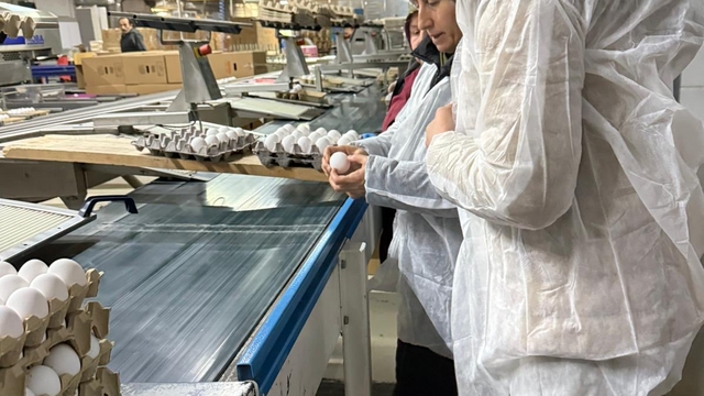 Çorum'da ramazan öncesi gıda denetimleri sürüyor