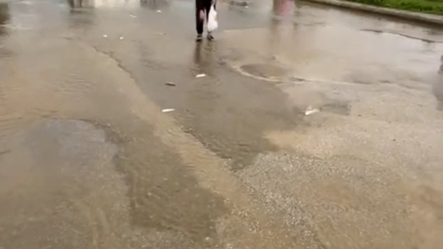 Bodrum'da sağanak baskını: Gölet taştı, asfalta balık yağdı
Vatandaşlar asfalttan balık topladı