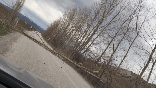 Yeşilyurt'ta şiddetli rüzgar nedeniyle yola devrilen ağaçları vatandaşlar kaldırdı