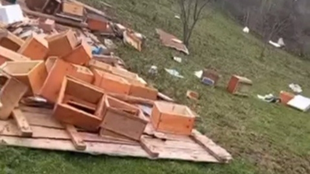 Türkeli'de fırtına arıcılığı vurdu: Onlarca kovan zarar gördü