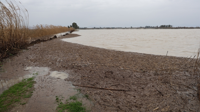 Kozan'da sağanak taşkınlara yol açtı
Anavarza Antik Kenti'nde su baskını riskine karşı çalışmalar sürüyor