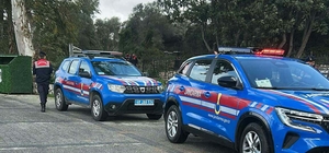 Bodrum'da 2 köpeğin öldürülmesi olayında savcılık itirazı sonrası tutuklama...