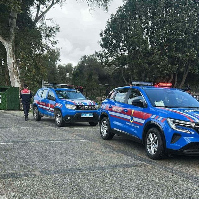 Bodrum'da 2 köpeğin öldürülmesi olayında savcılık itirazı sonrası tutuklama...