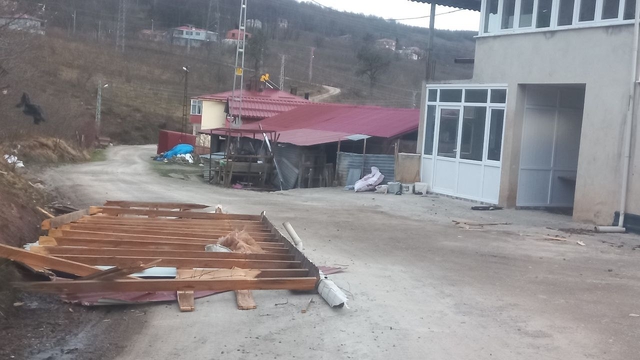 Ordu'da fırtına nedeniyle 11 evin çatısı uçtu, ağaçlar devrildi