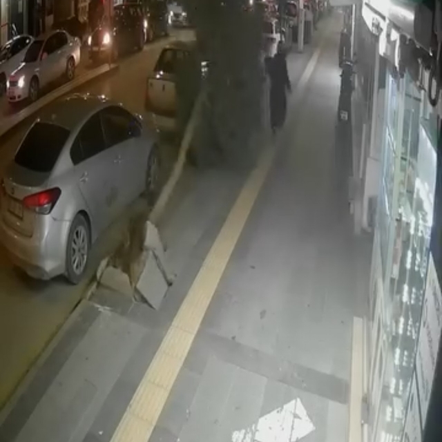 Tokat'ta fırtına ağacı devirdi, vatandaş saniyelerle kurtuldu