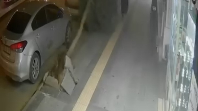 Tokat'ta fırtına ağacı devirdi, vatandaş saniyelerle kurtuldu