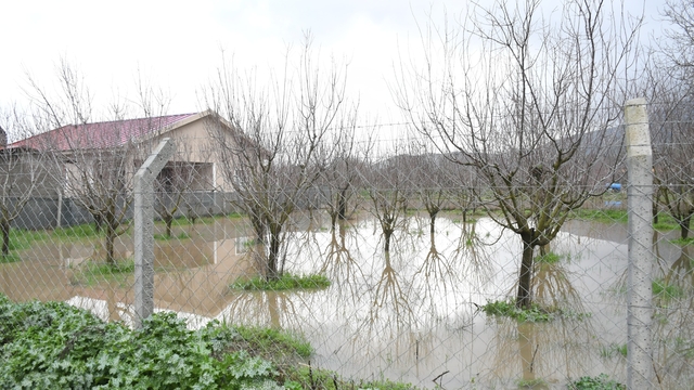 Kuşadası’nda sağanak etkili oldu; evlerin bahçeleri ve tarım arazileri su altında kaldı