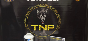 Tunceli'de uyuşturucu operasyonunda 1 şüpheli yakalandı