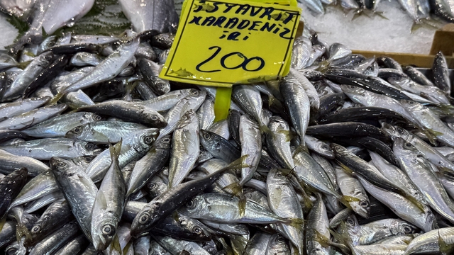 Kocaeli'de balık tezgahlarındaki son durum