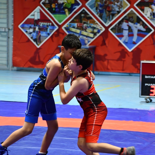 Okul Sporları Yıldızlar Güreş müsabakaları tamamlandı