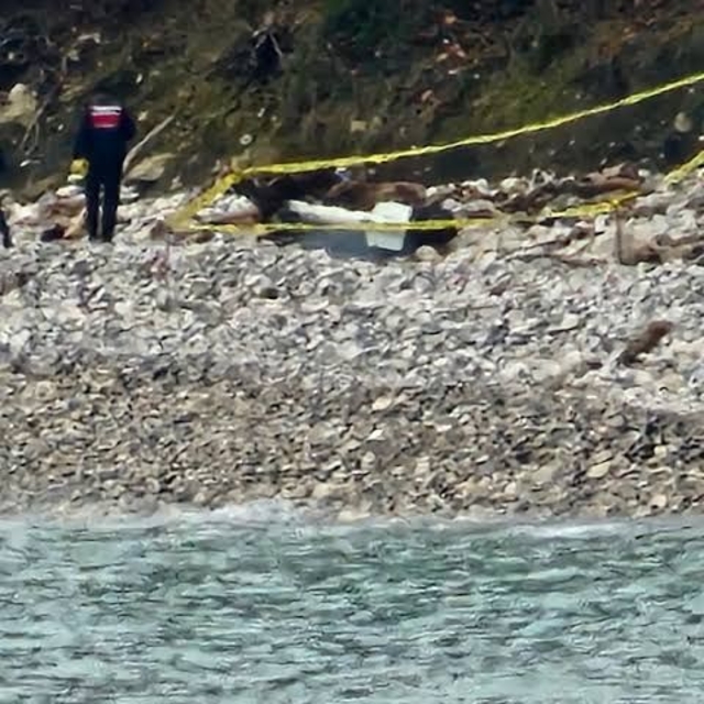 Türkeli'de kıyıya vuran şüpheli cisim korkuttu