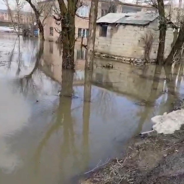 Muş'ta sağanak nedeniyle ev ve ahırları su bastı