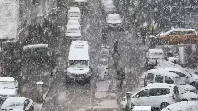 Van'da yoğun kar yağışı etkili oldu