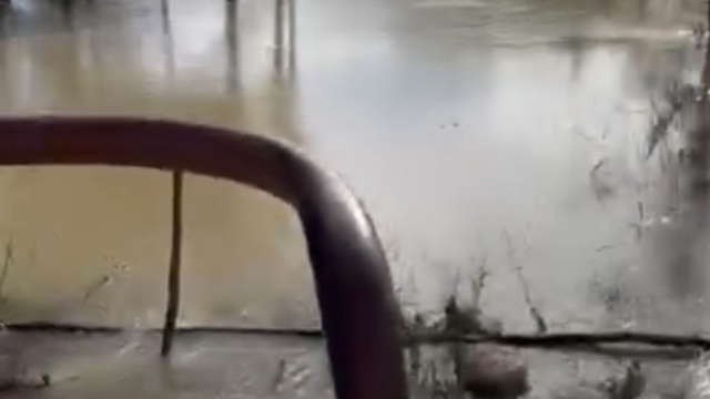 Antalya Serik'te taşan ırmak suları tarım arazileri ve caddeleri sular altında bıraktı