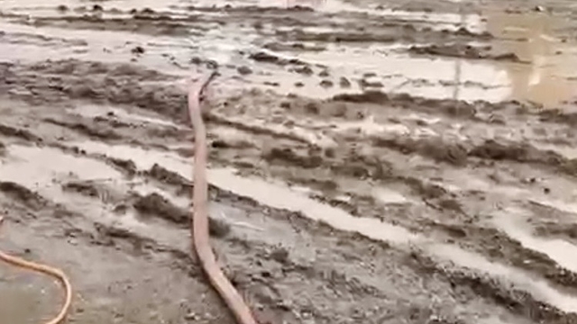 Doğu Akdeniz'i şiddetli yağmur vurdu (2)