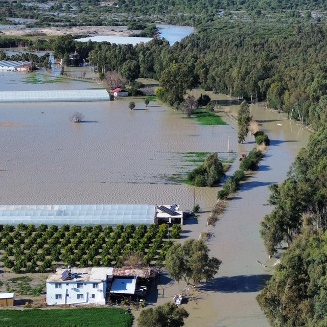 Antalya'da kuvvetli yağış 7 ilçede hasara neden oldu, mahsur kalan hayvanla...