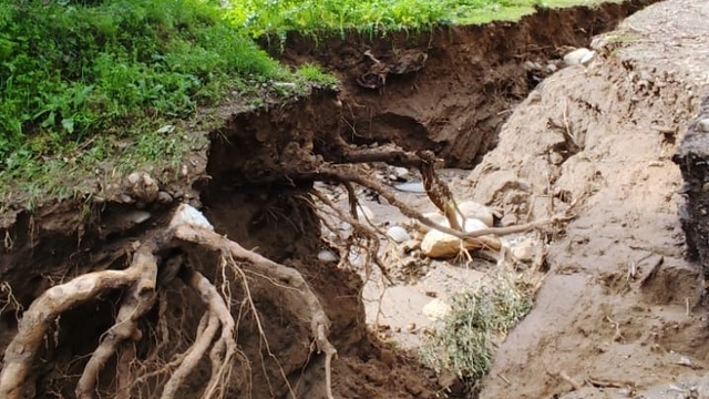 Dere suları yön değiştirdi, zeytinlikte ikinci yatak oluştu Zeytinlikte iki insan boyu yarıklar oluştu