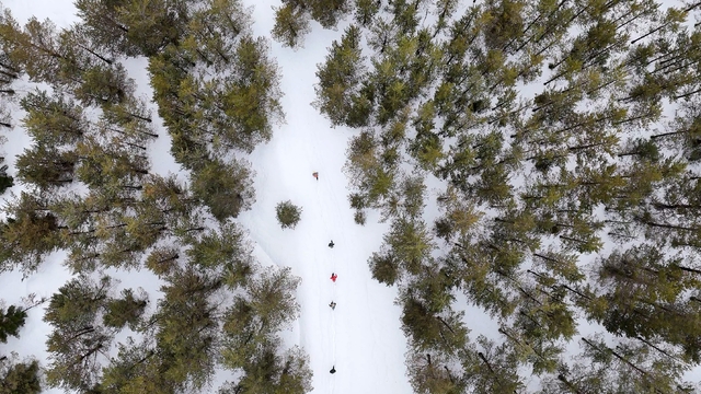 Tersun Dağı'nda zorlu kış yürüyüşü: Kar kalınlığı 1,5 metreyi buldu
Gümüşhane'nin Alpleri Tersun Dağı'nda mest eden görüntüler
Vali Yardımcısı hayran kaldı: "Burası İsviçre Alpleri değil, Gümüşhane"