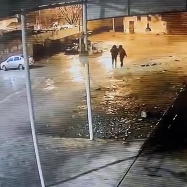 Siverek'te 19 koyun çalındı: Hırsızlık anı kamerada