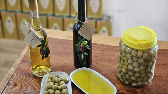 Dr. Kahraman: Tavşan yüreği zeytinyağı, kemoterapi kadar etkili