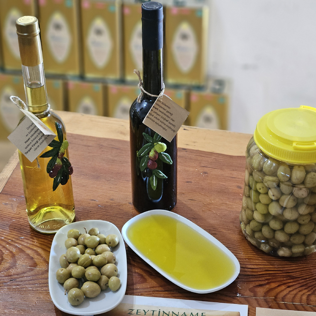 Dr. Kahraman: Tavşan yüreği zeytinyağı, kemoterapi kadar etkili