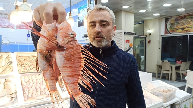 Tezgahta satışı yasak olan aslan balığının özel müşterisi var