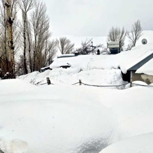 Van'da 76 yerleşim yerinin yolu kapandı; kırsal mahallede evler kara gömüld...